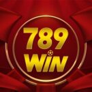 789Win0050 com – Giới thiệu nhà cái nhận ngay 199K cực nóng