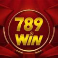 789Win93 com – Tổng hợp sự kiện hot nhất của nhà cái 789Win